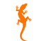WildMarket